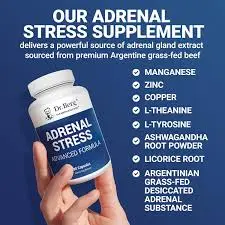 Dr. Berg L-Theanine Adrenal Support
